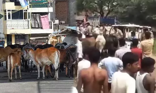 Case against 90 people for blocking Uttar Pradesh ministers convoy with stray cattle,Villagers Block UP Ministers Convoy With Stray Cattle,കന്നുകാലികളുമായി മന്ത്രിയുടെ വാഹനവ്യൂഹം തടഞ്ഞു; യു.പിയിൽ 90 പേർക്കെതിരെ കേസ്,മന്ത്രിയുടെ വാഹനവ്യൂഹം തടഞ്ഞവര്‍ക്കെതിരെ കേസ്