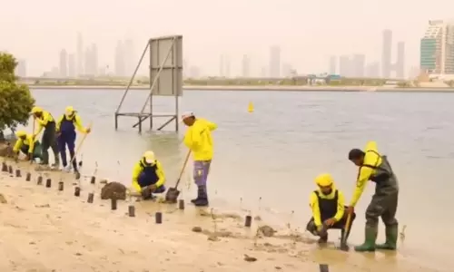 ഒരു തുള്ളി വെള്ളം പാഴാക്കാതെ ദുബൈ; പുനരുപയോഗിക്കാൻ സംവിധാനം