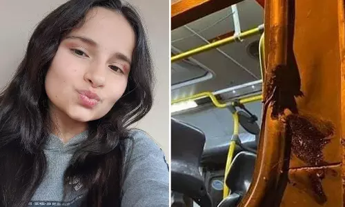 Brazilian Girl On Bus Dies As Head Collides With Pole