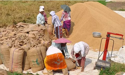 രണ്ടാംവിള നെല്ലിന്റെ മുഴുവൻ തുകയും ലഭിക്കാതെ കർഷകർ; ഓണത്തിന് മുമ്പ് ലഭിക്കുമെന്ന് മന്ത്രി
