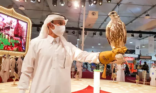 Suhail Falcon Fair begins on September 10