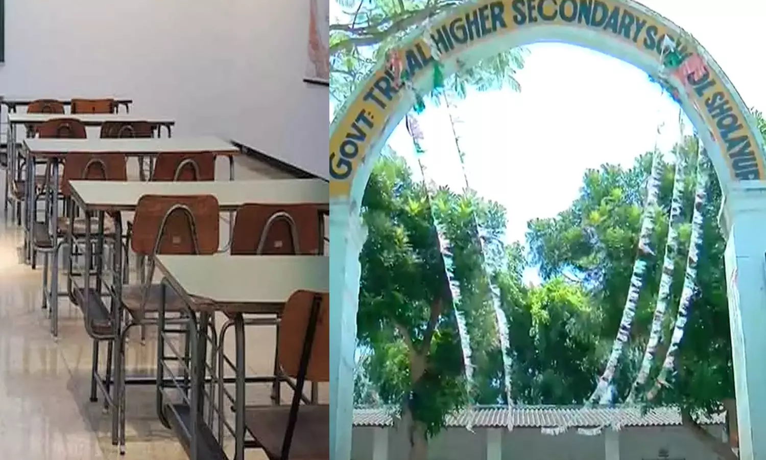 പ്ലസ് വൺ പുതിയ ബാച്ച്