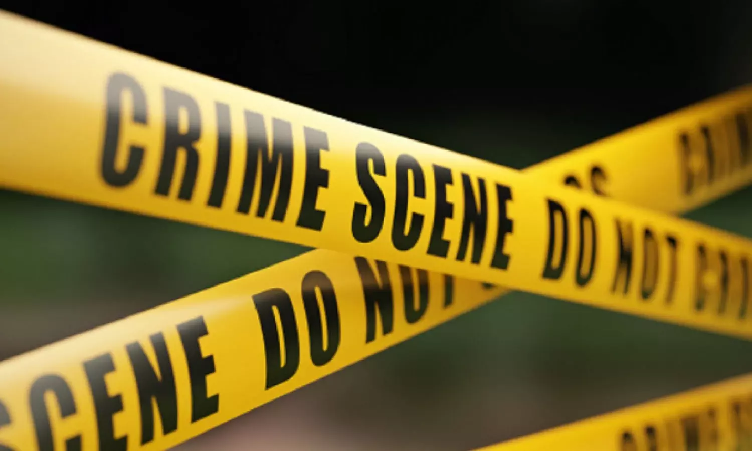 up pregnant woman killed by parents up pregnant woman killed by parents