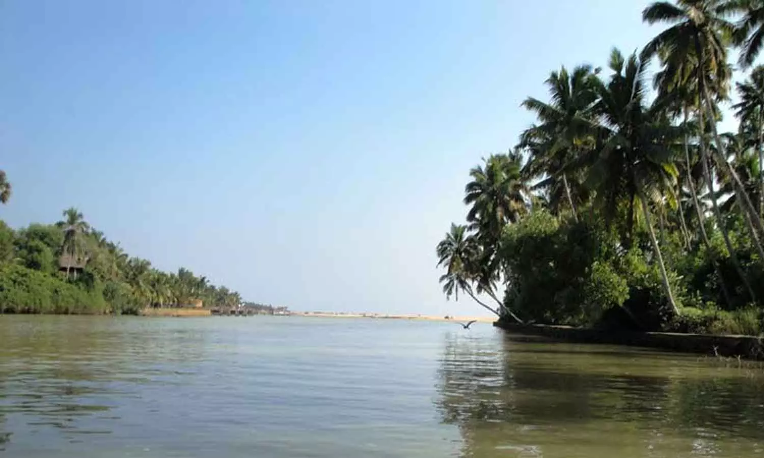 Panakkad student death