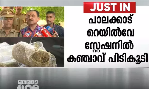 പാലക്കാട് റെയിൽവേ സ്റ്റേഷനിൽ നിന്ന് ബിസ്‌ക്കറ്റ് രൂപത്തിലാക്കിയ കഞ്ചാവ് കണ്ടെത്തി
