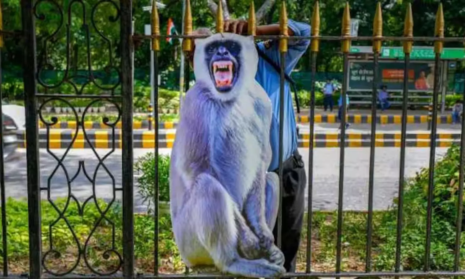 Cutouts of langoors put up in Delhi to stop monkeys from entering G20 summit venues Cutouts of langoors put up in Delhi to stop monkeys from entering G20 summit venues