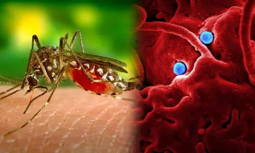 boy gets infected with malaria, lepto, dengue at same time, dies