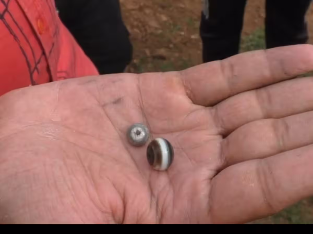 Locals Dig Out Pearls