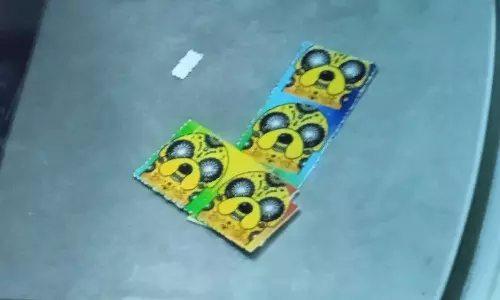 123 LSD stamps were seized from the courier from America