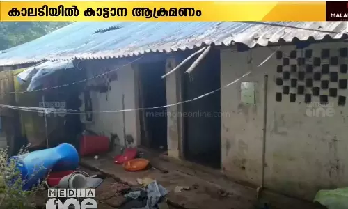 കാലടി പ്ലാന്റേഷൻ കോർപറേഷൻ തൊഴിലാളിയുടെ ലയത്തിന് നേരെ കാട്ടാന ആക്രമണം കാലടി പ്ലാന്റേഷൻ കോർപറേഷൻ തൊഴിലാളിയുടെ ലയത്തിന് നേരെ കാട്ടാന ആക്രമണം