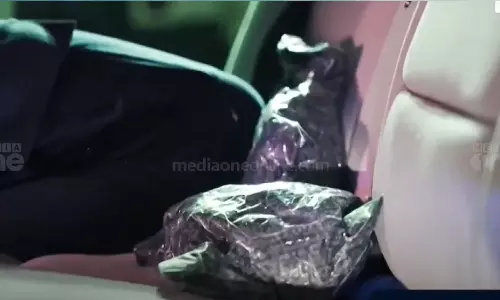 Drugs in the interior of the car,  drugs were seized in Saudi Arabia, latest malayalam news,കാറിന്റെ ഇന്റീരിയറിൽ മയക്കുമരുന്ന്, സൗദി അറേബ്യയിൽ മയക്കുമരുന്ന് പിടികൂടി