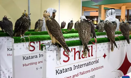 Katara Cultural Village ready for