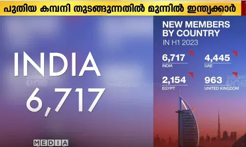 ദുബൈയിൽ പുതിയ സ്ഥാപനങ്ങൾ തുടങ്ങുന്നവരിൽ ഇന്ത്യക്കാർ മുന്നിൽ