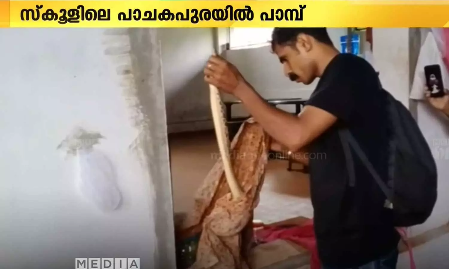 കോഴിക്കോട് മുക്കം ഹൈസ്കൂളിലെ പാചകപ്പുരയിൽ നിന്നും പാമ്പിനെ പിടികൂടി കോഴിക്കോട് മുക്കം ഹൈസ്കൂളിലെ പാചകപ്പുരയിൽ നിന്നും പാമ്പിനെ പിടികൂടി