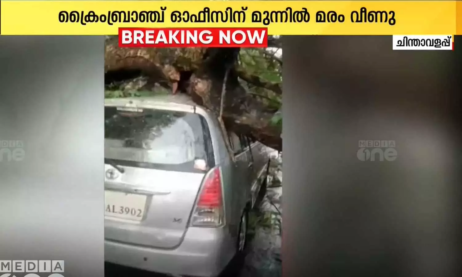 കോഴിക്കോട് ചിന്താവളപ്പിൽ  ഓടിക്കൊണ്ടിരുന്ന കാറിനു മുകളിലേക്ക് മരം വീണു