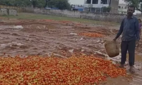Tomatoes,Tomato price,Tomatoes dumped on road in Andhra Pradesh after price drops to Rs 4 per kg,തക്കാളി വിലയിടവ്,തക്കാളിക്ക് നാലുരൂപ,തക്കാളിയുടെ വിലയിടിവ്,റോഡില്‍ തക്കാളി വലിച്ചെറിഞ്ഞ് കര്‍ഷകര്‍