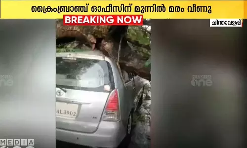 കോഴിക്കോട് ചിന്താവളപ്പിൽ  ഓടിക്കൊണ്ടിരുന്ന കാറിനു മുകളിലേക്ക് മരം വീണു