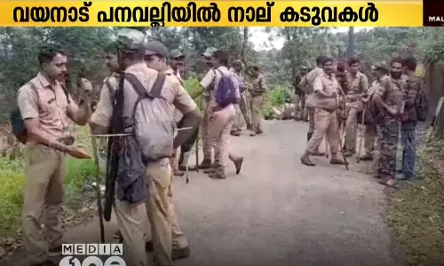 ഒരു കടുവയ്ക്കായി തിരച്ചിലിനിറങ്ങി; കണ്ടെത്തിയത് നാല് കടുവകളെ