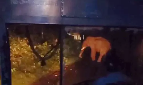 Kabali elephant attack KSRTC bus on Athirappilly-Malakkappara interstate highway, Athirappilly-Malakkappara interstate highway, Kabali KSRTC attack