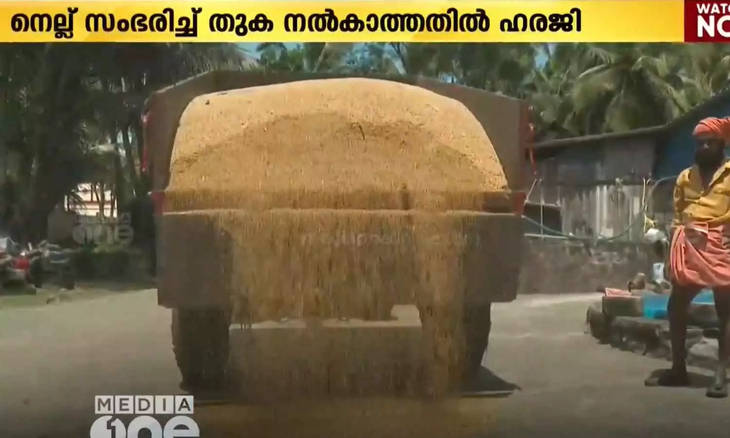 നെല്ല് സംഭരിച്ച് തുക നൽകാത്തതിനെതിരെയുള്ള ഹരജി ഹൈക്കോടതി ഇന്ന് വീണ്ടും പരിഗണിക്കും നെല്ല് സംഭരിച്ച് തുക നൽകാത്തതിനെതിരെയുള്ള ഹരജി ഹൈക്കോടതി ഇന്ന് വീണ്ടും പരിഗണിക്കും