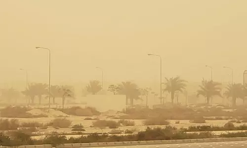 Saudi has implemented many plans to deal with the dust storm