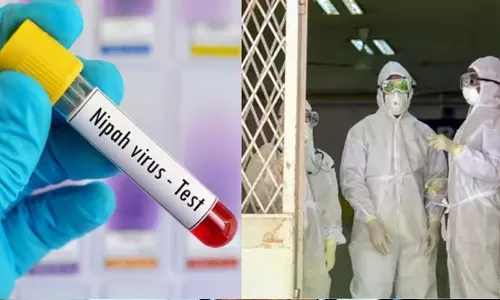 നിപ: മൂന്ന് കേന്ദ്ര സംഘങ്ങൾ ഇന്ന് കോഴിക്കോട്ടെത്തും; രണ്ടു ആരോഗ്യപ്രവർത്തകരുടെ സാമ്പിളുകൾ കൂടി പരിശോധനക്കയച്ചു നിപ: മൂന്ന് കേന്ദ്ര സംഘങ്ങൾ ഇന്ന് കോഴിക്കോട്ടെത്തും; രണ്ടു ആരോഗ്യപ്രവർത്തകരുടെ സാമ്പിളുകൾ കൂടി പരിശോധനക്കയച്ചു