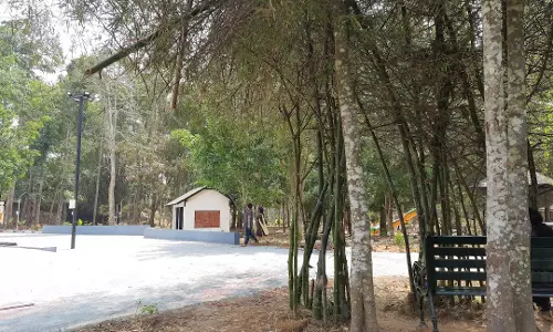 pazhassi park mananthavady