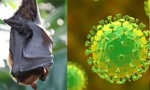 നിപ: കോഴിക്കോട് ജില്ലയിൽ കൂടുതൽ നിയന്ത്രണങ്ങൾ ഏർപ്പെടുത്തി നിപ: കോഴിക്കോട് ജില്ലയിൽ കൂടുതൽ നിയന്ത്രണങ്ങൾ ഏർപ്പെടുത്തി