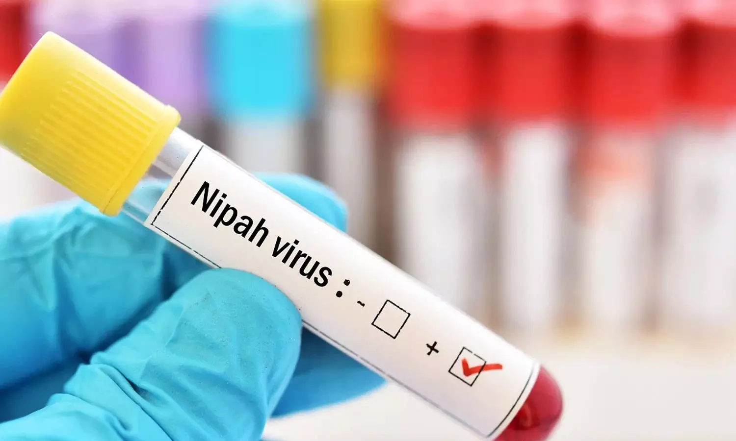 Nipah Nipah