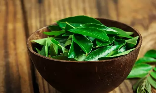 skincare,Acne Treatment,skincare benefits of Curry Leaves,Curry Leaves in skincare,Curry leaves health benefits,കറിവേപ്പിലയുടെ ആരോഗ്യ ഗുണം,കറിവേപ്പില ചര്‍മ സംരക്ഷണത്തിന്,കറിവേപ്പില ഫേസ് പാക്ക്, മുഖക്കുരുവിന് കറിവേപ്പില