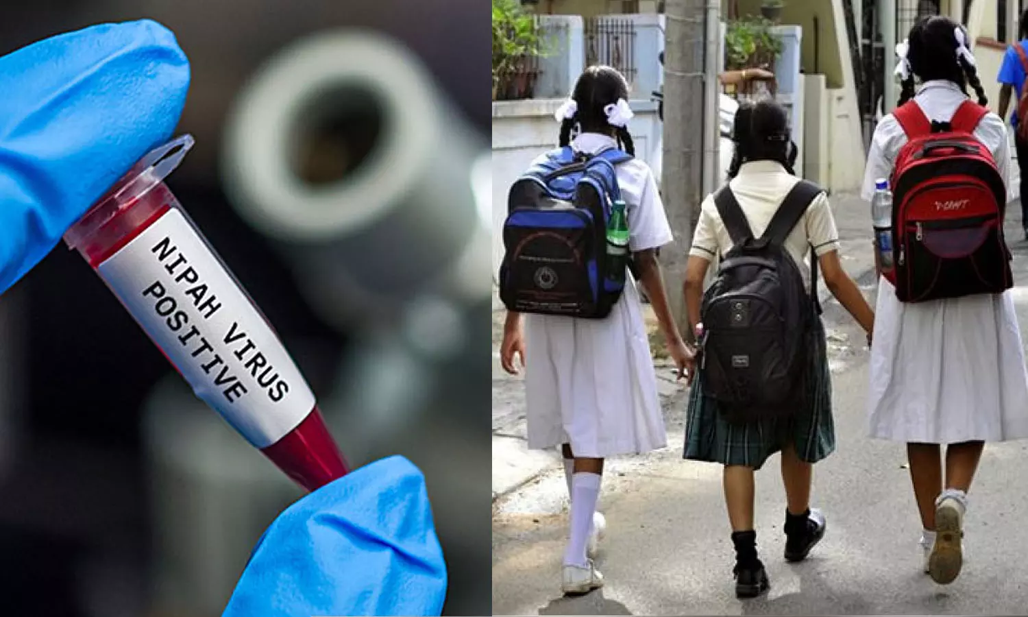 കോഴിക്കോട്ടെ അനിശ്ചിതകാല അവധി മാറ്റി; സ്കൂളുകൾക്ക് അവധി ഈ മാസം 23 വരെ