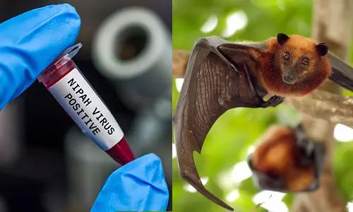 Nipah, Central Animal Protection Department, nipah in calicut, latest malayalam news, നിപ, കേന്ദ്ര മൃഗസംരക്ഷണ വകുപ്പ്, കോഴിക്കോട് നിപ, ഏറ്റവും പുതിയ മലയാളം വാർത്ത Nipah, Central Animal Protection Department, nipah in calicut, latest malayalam news, നിപ, കേന്ദ്ര മൃഗസംരക്ഷണ വകുപ്പ്, കോഴിക്കോട് നിപ, ഏറ്റവും പുതിയ മലയാളം വാർത്ത