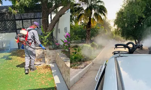 പകർച്ച വ്യാധികൾ; പ്രതിരോധ പ്രവർത്തനങ്ങൾ ഊർജിതമാക്കി മസ്കത്ത് മുനിസിപ്പാലിറ്റി