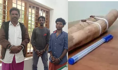 idukki elephant tusker case