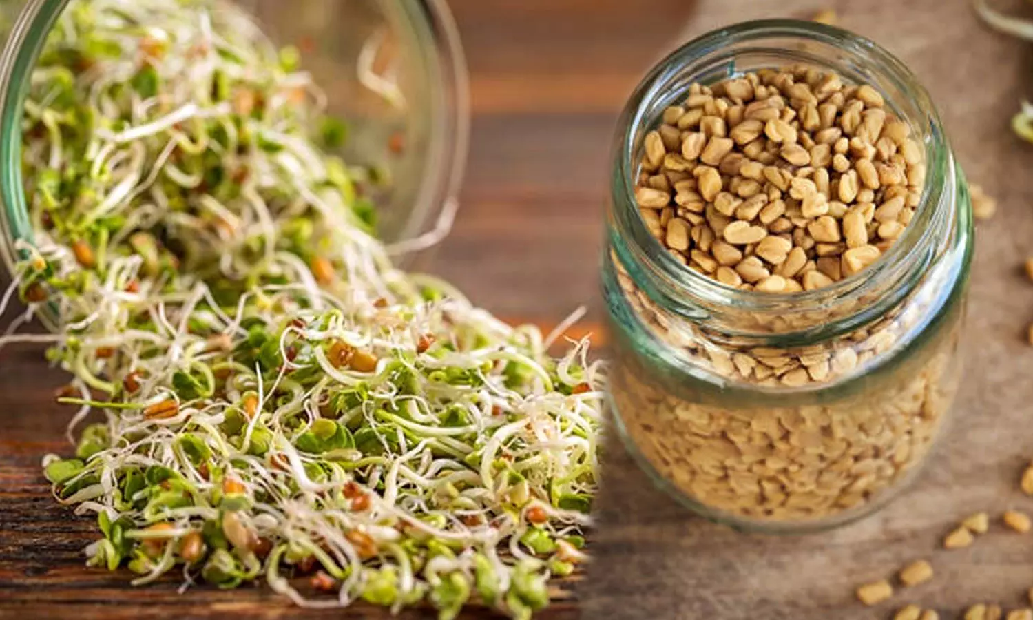 Benefits Of Fenugreek Sprouts , Sprouted Methi Seeds,Benefits Of Sprouted Methi Seeds,ഉലുവ,മുളപ്പിച്ച ഉലുവയുടെ ഗുണങ്ങള്,ഉലുവയുടെ ഗുണം,മുളപ്പിച്ച ഉലുവ കഴിക്കാം,മുളപ്പിച്ച ഉലുവ Benefits Of Fenugreek Sprouts , Sprouted Methi Seeds,Benefits Of Sprouted Methi Seeds,ഉലുവ,മുളപ്പിച്ച ഉലുവയുടെ ഗുണങ്ങള്,ഉലുവയുടെ ഗുണം,മുളപ്പിച്ച ഉലുവ കഴിക്കാം,മുളപ്പിച്ച ഉലുവ