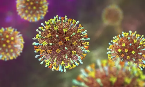 Nipah ,nipah virus,Nipah : No new cases for two days,Veena George,kerala,നിപ വൈറസ്,കോഴിക്കോട് നിപ,പുതിയ നിപ കേസുകളില്ല,നിപ ഭീതി ഒഴിയുന്നു