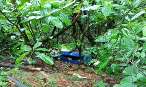 തലശ്ശേരി-കുടക് പാതയിൽ മൃതദേഹം കഷണങ്ങളാക്കി ഉപേക്ഷിച്ച നിലയിൽ കണ്ടെത്തി