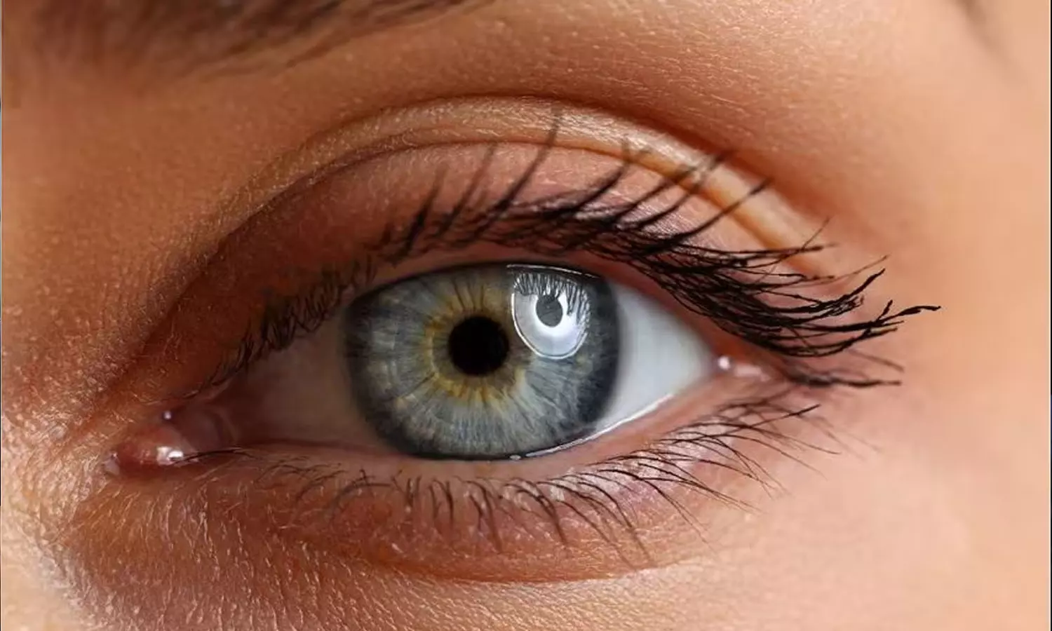 Are your eyes showing these symptoms, dryness of eyes, dark circle, latest malayalam news, നിങ്ങളുടെ കണ്ണുകൾ ഈ ലക്ഷണങ്ങൾ കാണിക്കുന്നുണ്ടോ, കണ്ണുകളുടെ വരൾച്ച,  കണ്ണിനടിയിലെ കറുപ്പ്, ഏറ്റവും പുതിയ മലയാളം വാർത്തകൾ