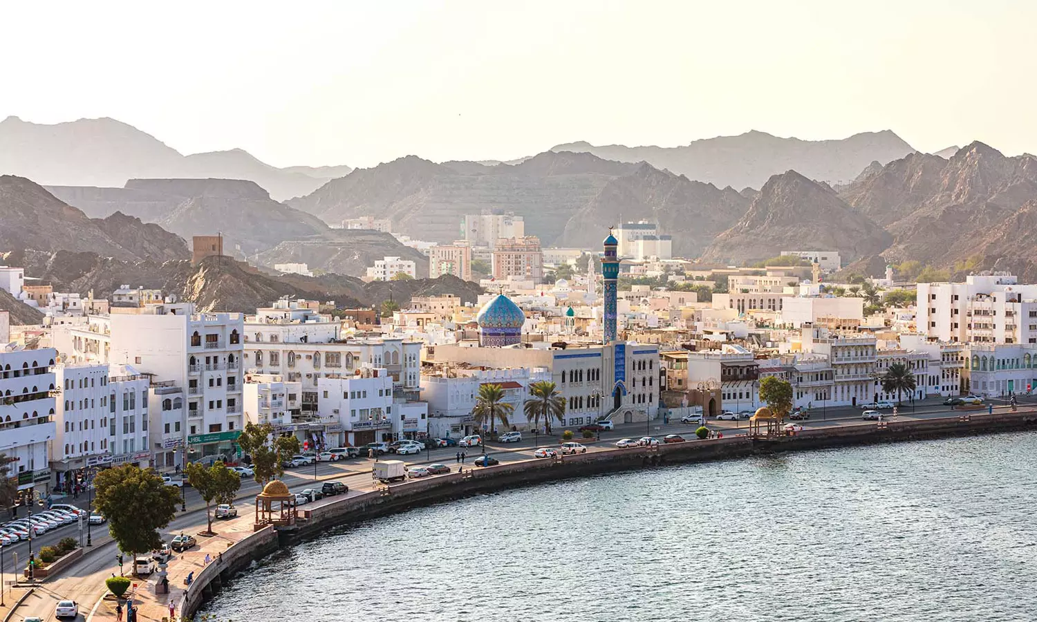 Treatment in Oman will be free for expatriates to Communicable and Infectious Diseases