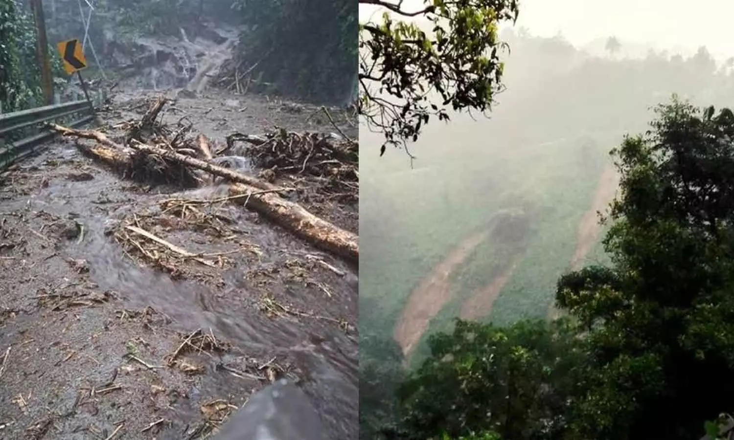 കനത്ത മഴ; കോട്ടയം വെള്ളാനിയിൽ ഉരുൾപൊട്ടി കനത്ത മഴ; കോട്ടയം വെള്ളാനിയിൽ ഉരുൾപൊട്ടി
