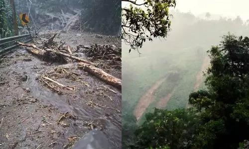 കനത്ത മഴ; കോട്ടയം വെള്ളാനിയിൽ ഉരുൾപൊട്ടി കനത്ത മഴ; കോട്ടയം വെള്ളാനിയിൽ ഉരുൾപൊട്ടി