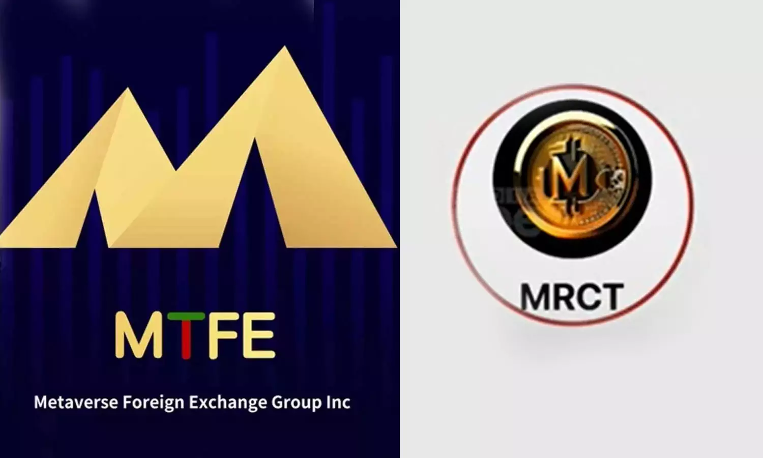 Active new online money chain scam as the follower of mtfe Active new online money chain scam as the follower of mtfe