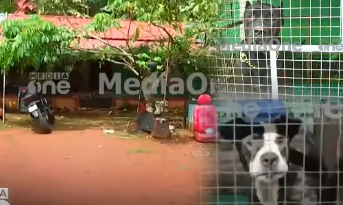 ganja trade under the protection of dogs accused ran away after seeing the police