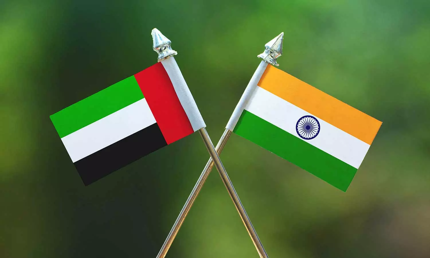 India-UAE non-oil trade to double within six years: Sepa Council