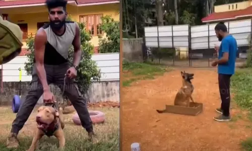 accused escaped,ganja trade guarded by dogs,  accused once again cheated the police and escaped,നായ്ക്കളുടെ കാവലിൽ കഞ്ചാവ് വിൽപ്പന, പ്രതി വീണ്ടും പൊലീസിനെ കബളിപ്പിച്ച് കടന്നു കളഞ്ഞു, പ്രതി റോബിന്‍, പ്രതി റോബിന്‍ രക്ഷപ്പെട്ടു,latest malayalam news