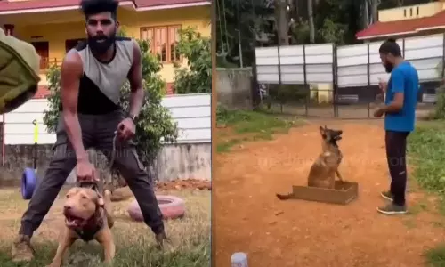 ganja trade under dog guard,Robin George,kottayam,arrest,നായ്ക്കളുടെ കാവലിൽ കഞ്ചാവ് വിൽപ്പന: പ്രതി റോബിൻ പിടിയിൽ,കഞ്ചാവ് വിൽപ്പന, ഒളിവിലായിരുന്ന പ്രതി പിടിയില്‍