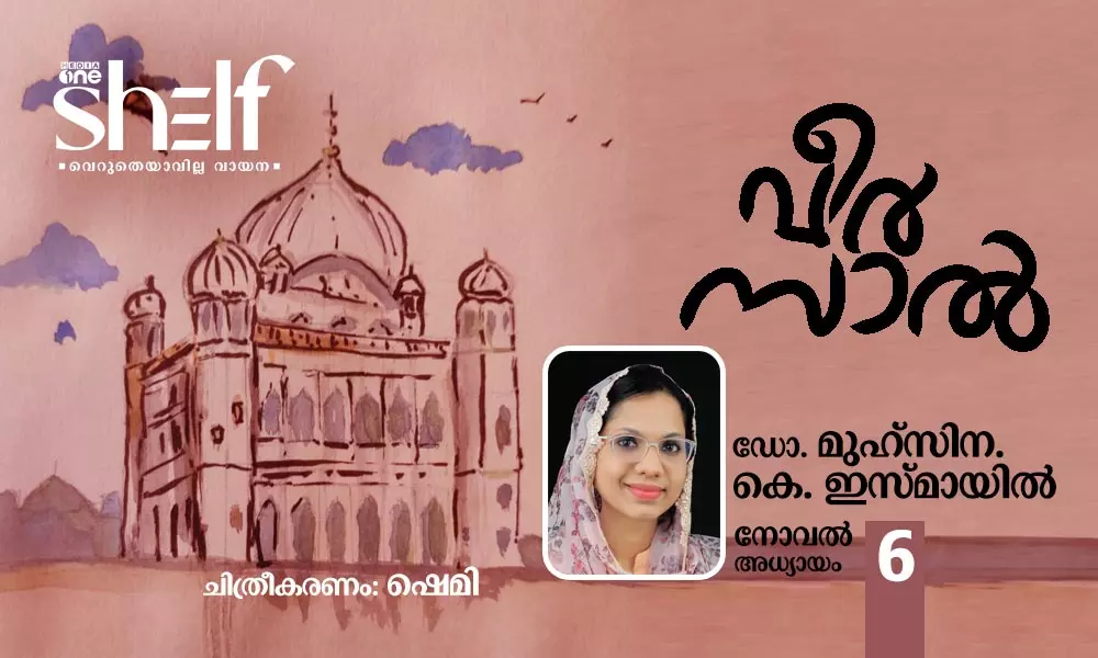 വീര്‍സാല്‍: നോവല്‍