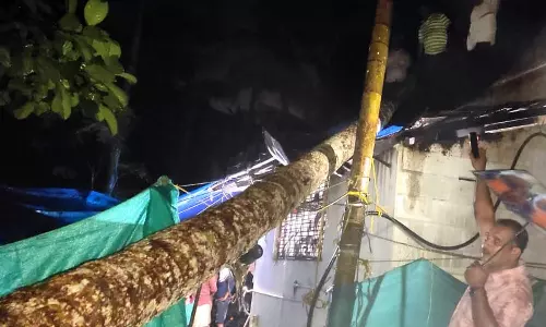 Heavy wind, rain, Coconut trees, house, latest malayalam news, കനത്ത കാറ്റ്, മഴ, തെങ്ങ്, വീട്, ഏറ്റവും പുതിയ മലയാളം വാർത്തകൾ