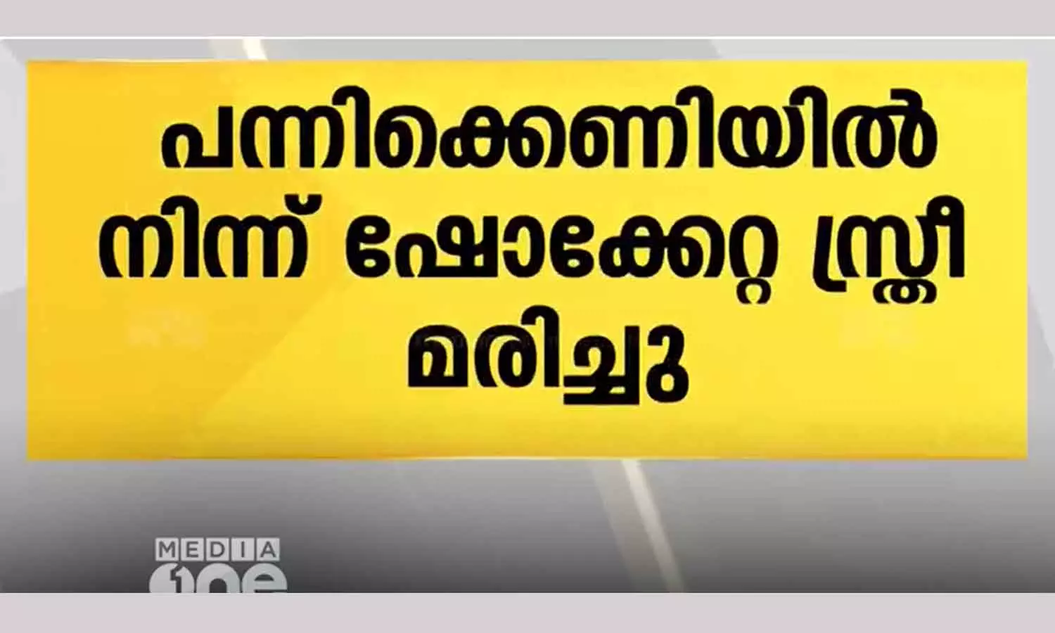 Woman dies of shock from pig trap