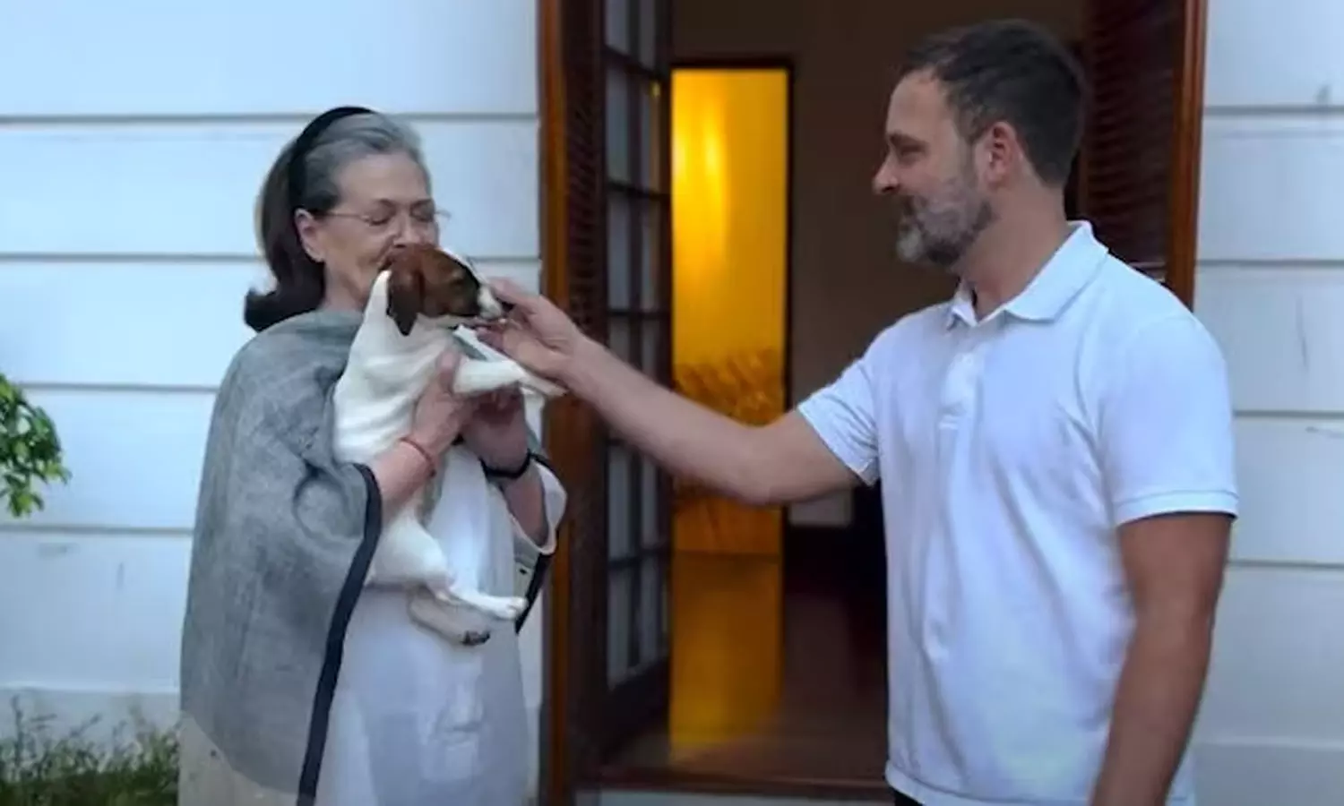 Insult to Muslim girls Says AIMIM leader on Rahul Gandhi naming pet dog Noorie Insult to Muslim girls Says AIMIM leader on Rahul Gandhi naming pet dog Noorie